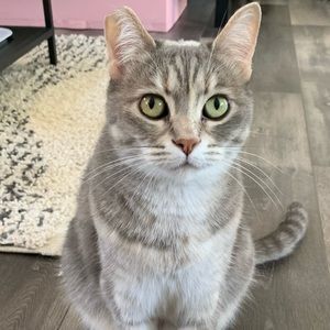 Meet your Posher, Amber